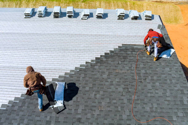 Best Roof Maintenance Services  in Bromley, KY