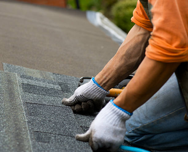 Best Gutter Installation and Roofing  in Bromley, KY
